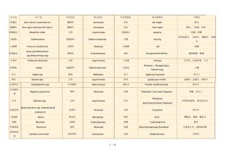 木材中英文名对照