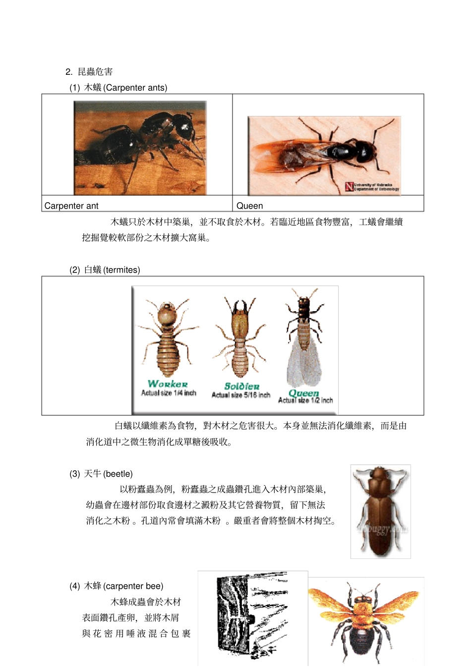 木材防腐剂的研究进展_第3页