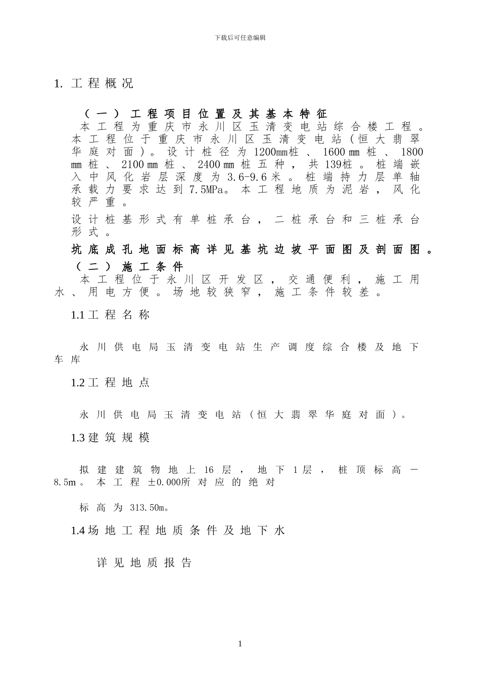 新旋挖成孔、混凝土灌注桩施工组织设计方案.doc_第1页