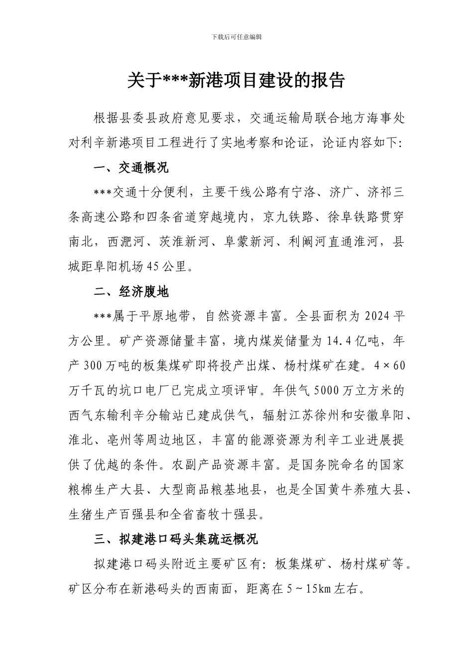 新港口码头建设项目报告_第1页