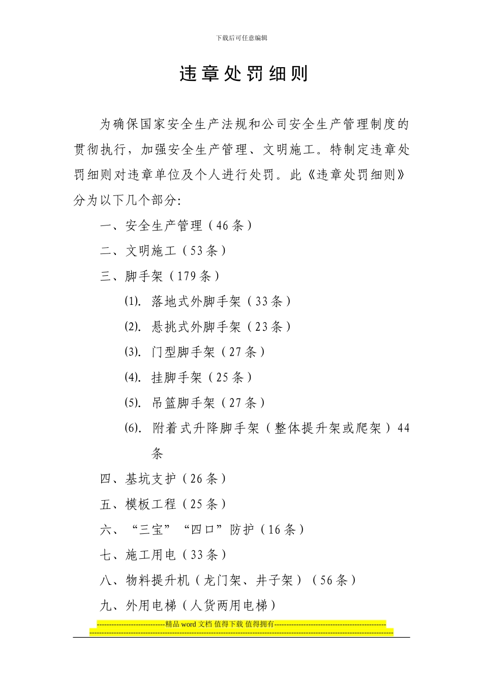 施工现场违章处罚细则_第1页