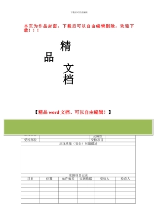 施工质量、安全检查处理意见