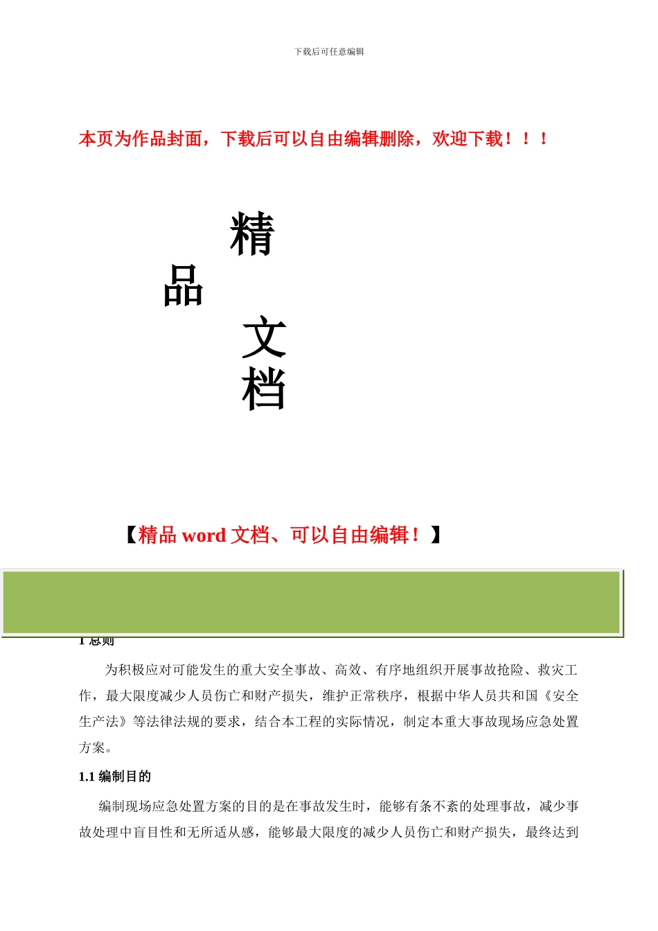 某110kV线路工程现场应急处置方案_第1页