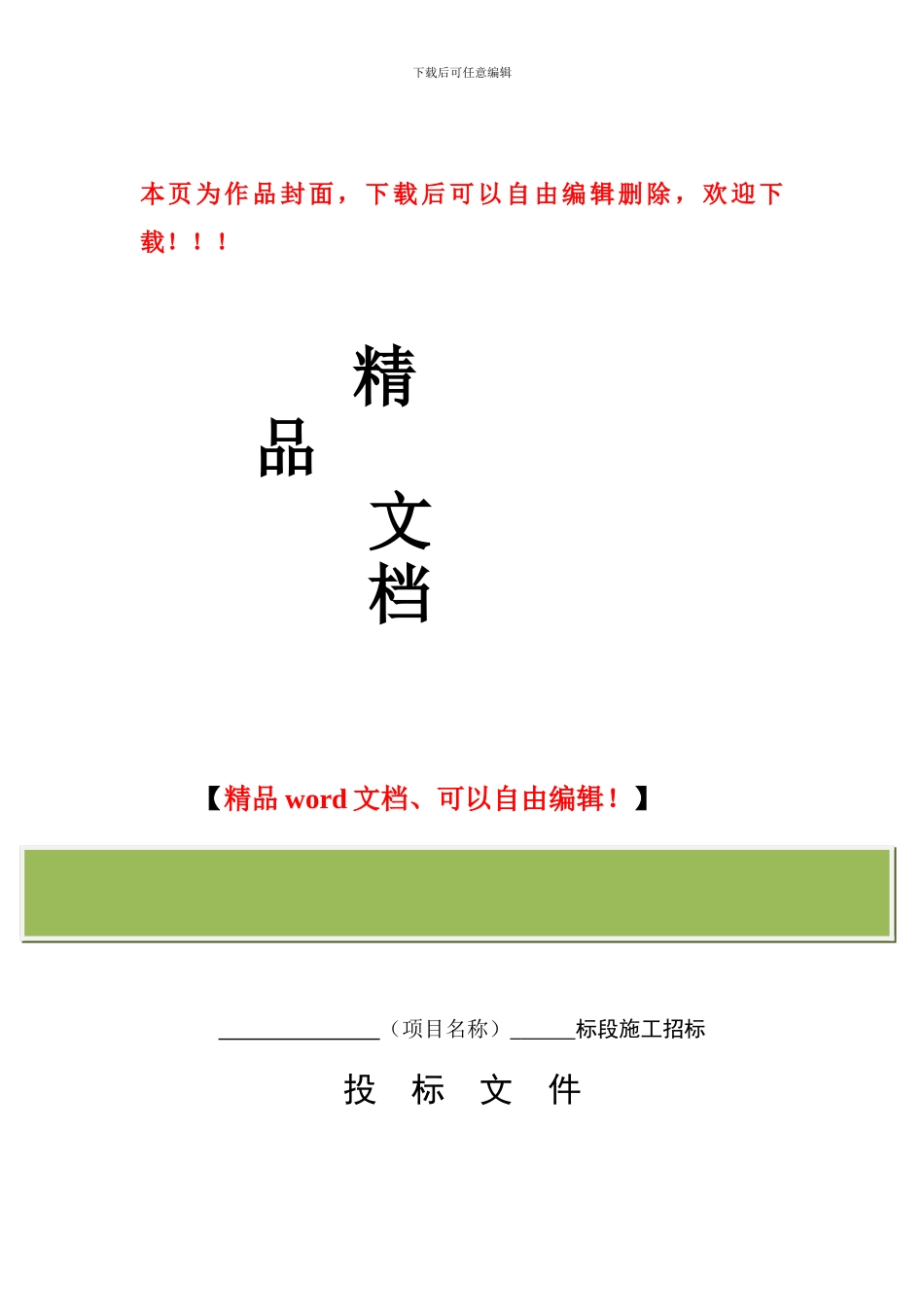 标准施工投标文件_第1页