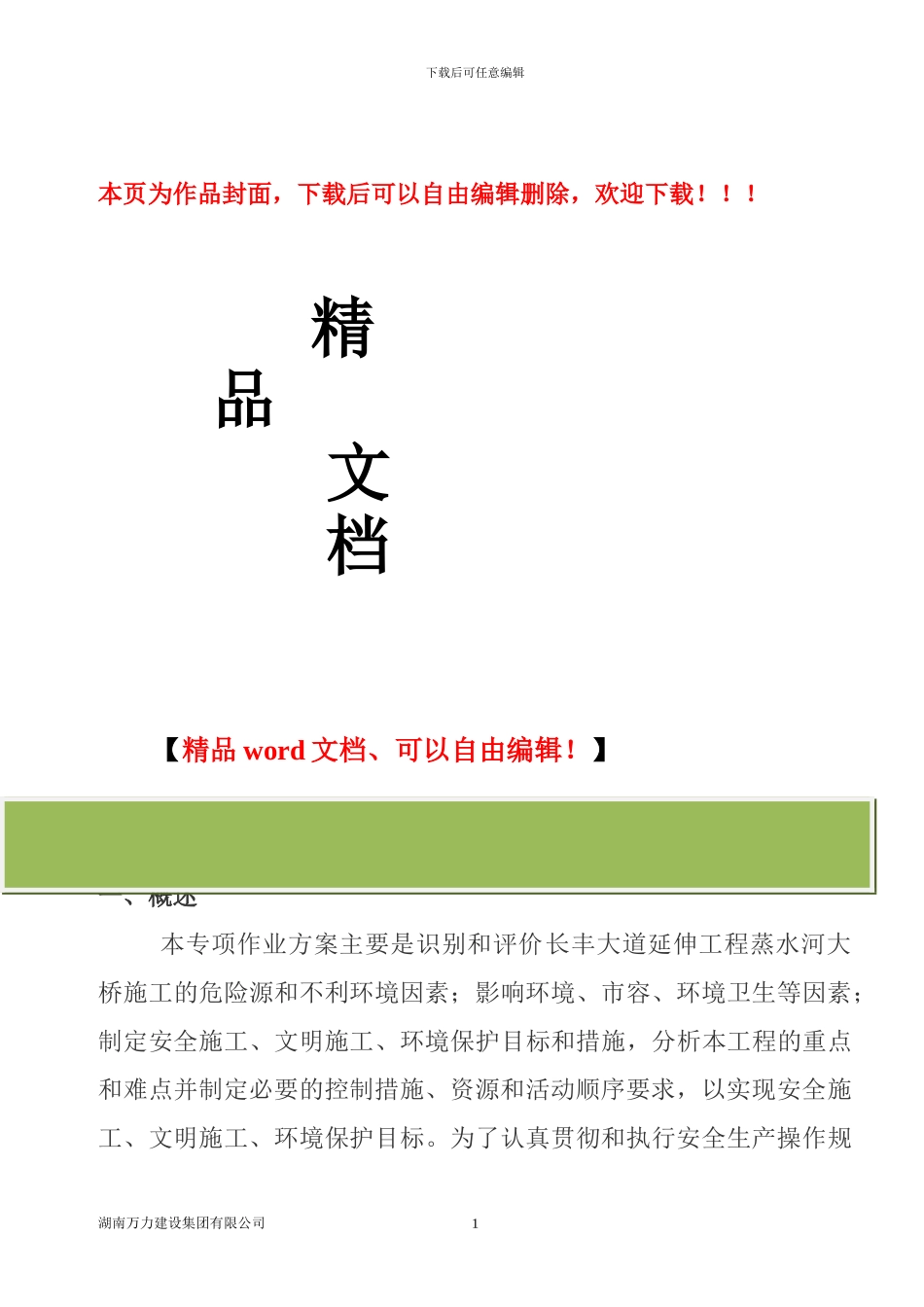 桥梁工程安全专项施工方案_第1页