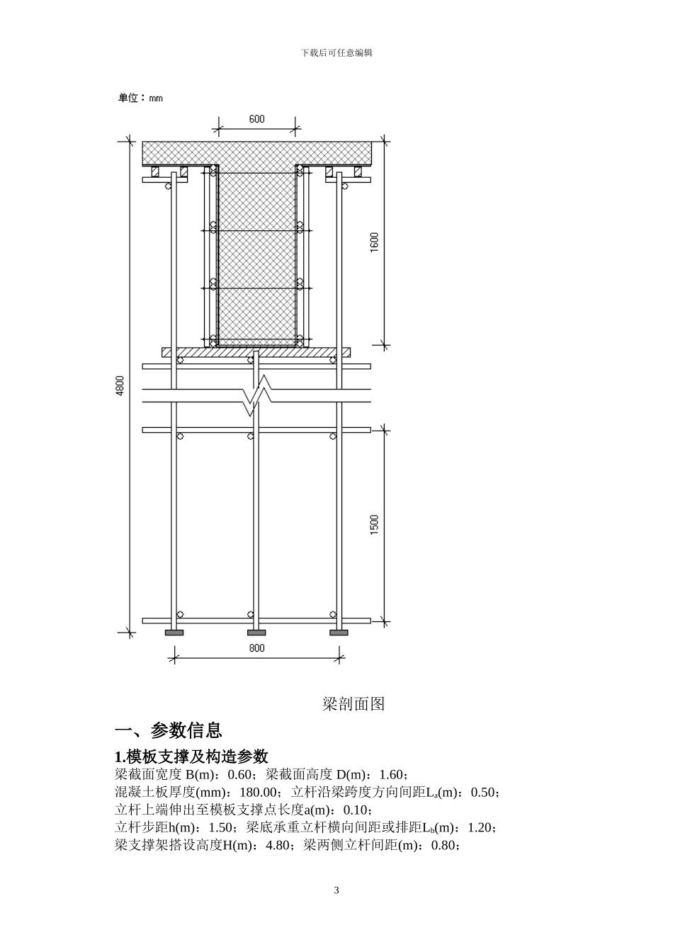 梁高大模板施工方案_第3页