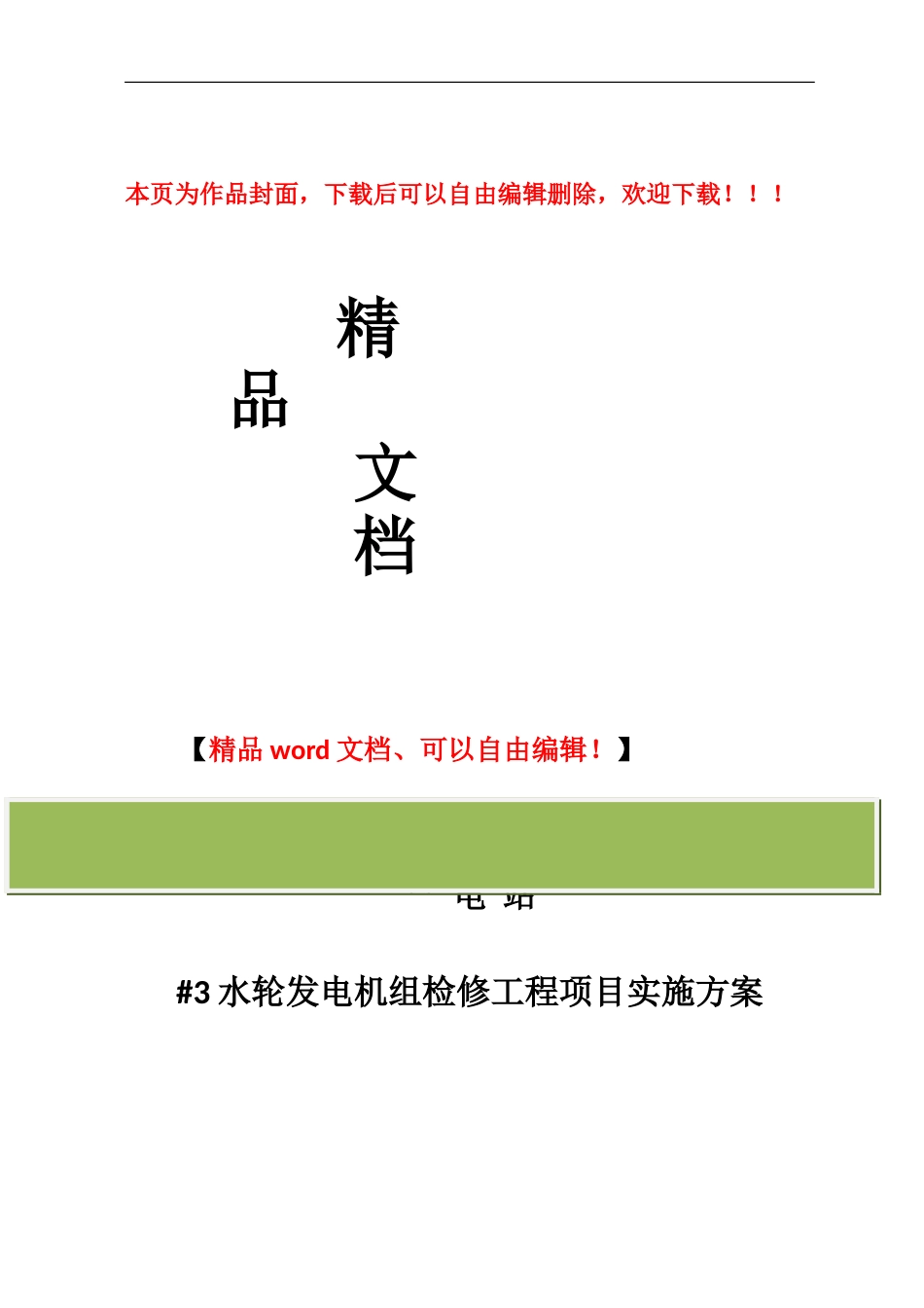水轮发电机组检修工程项目实施方案_第1页