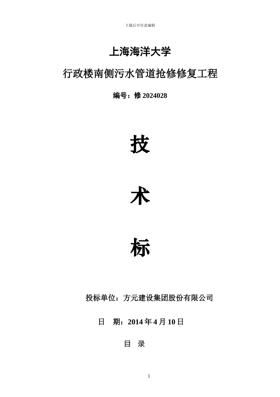 污水管网抢修工程技术标_第1页