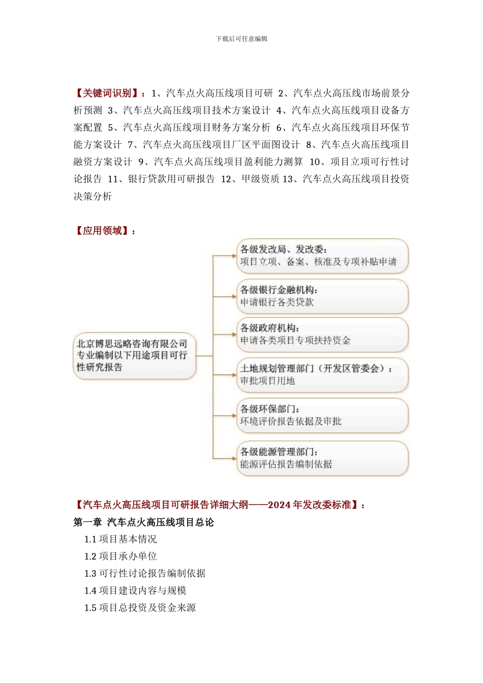 汽车点火高压线项目可行性研究报告评审方案设计_第2页
