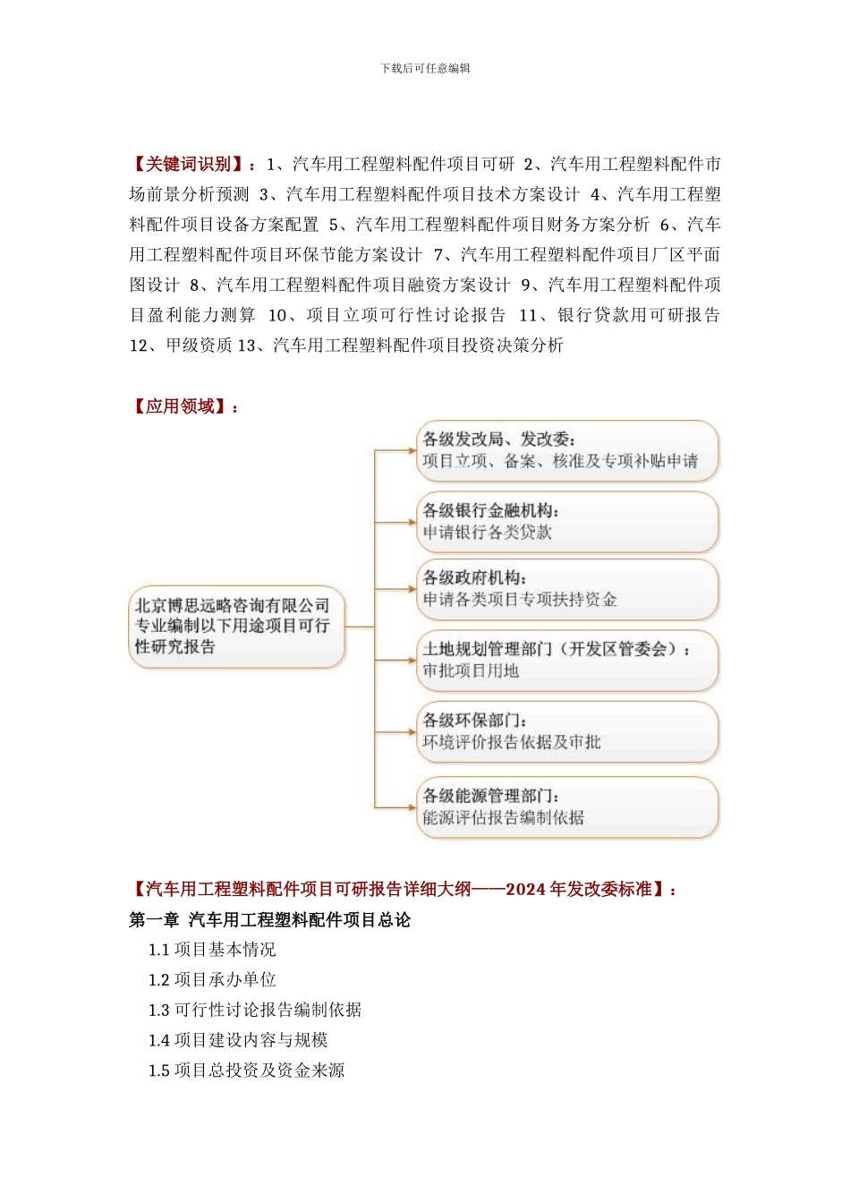 汽车用工程塑料配件项目可行性研究报告评审方案设计_第2页