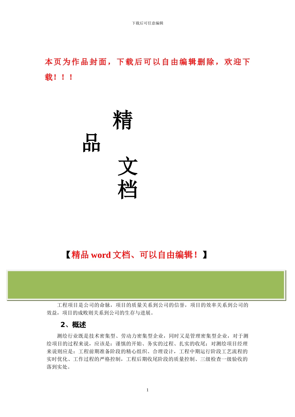 测绘工程项目管理方案_第1页