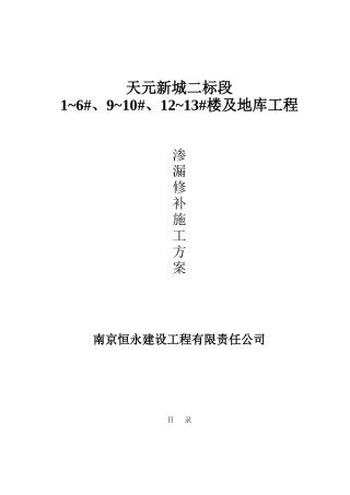 渗漏修补施工方案.