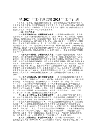 镇2024年工作总结暨2025年工作计划ding (2)