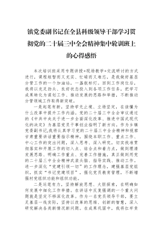 镇党委副书记在全县科级领导干部学习贯彻党的二十届三中全会精神集中轮训班上的心得感悟
