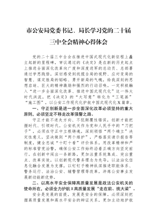 市公安局党委书记、局长学习党的二十届三中全会精神心得体会
