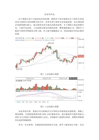 经济学作业 国有企业的改革方案和行业结构整合的方针