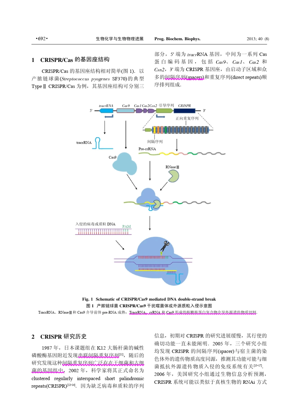 2013CRISPRCas9介导的基因组定点编辑技术_第2页