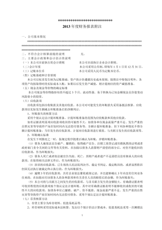 2013会计报表附注模板