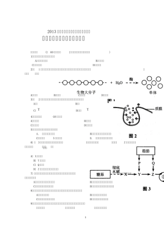 2013年上海高考生命科学试卷(精校含答案)