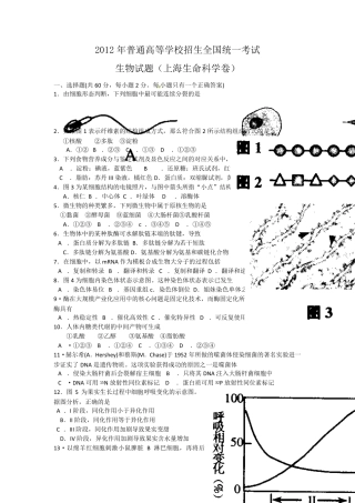 2013年上海高考生物试卷含答案
