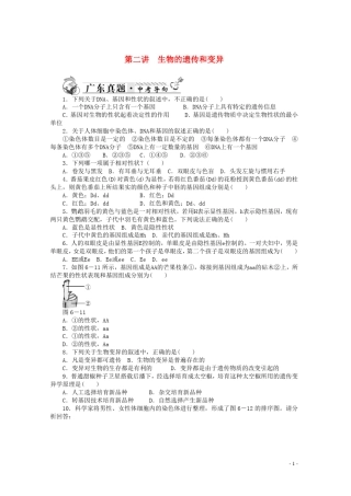 2013年中考生物一轮复习生物的遗传和变异真题汇总练习新人教版