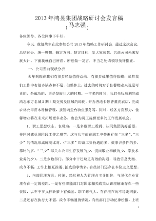 2013年公司战略研讨会发言稿