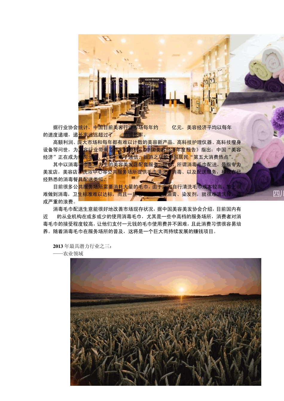 2013年十大最具潜力行业排行榜_第2页