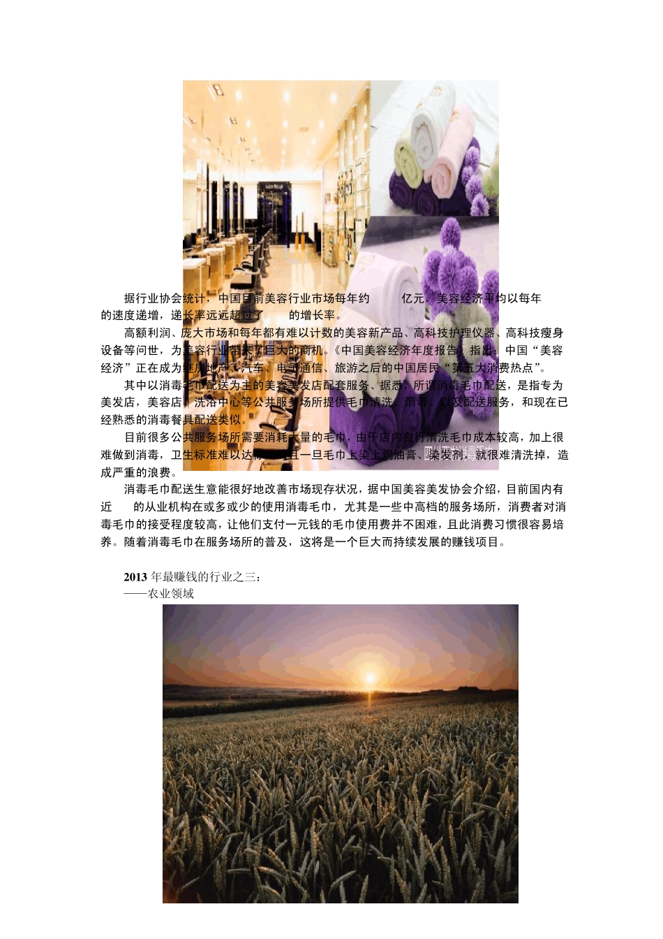 2013年十大最赚钱的行业_第2页