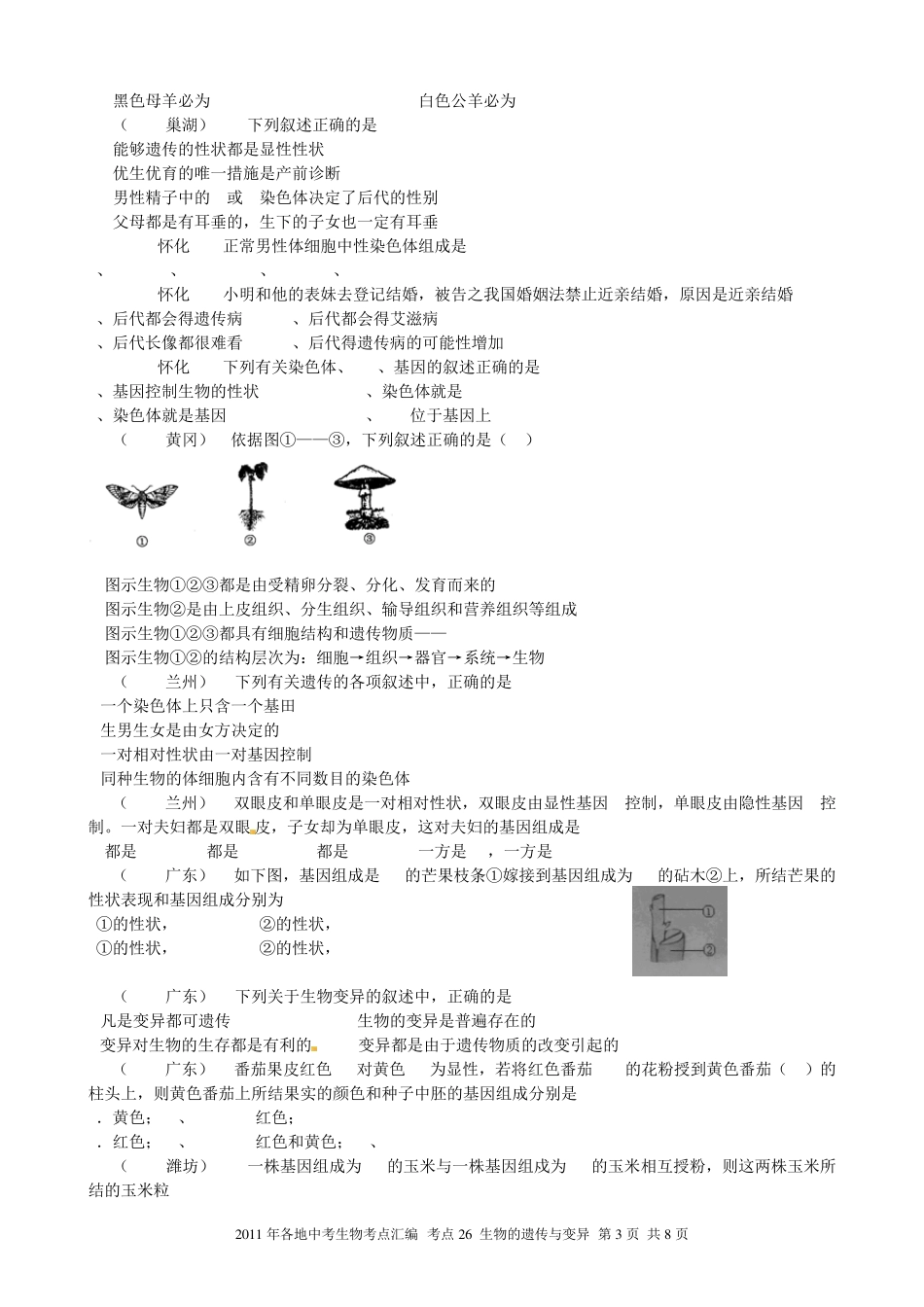 2013年各地中考生物考点汇编考点生物的遗传与变异_第3页