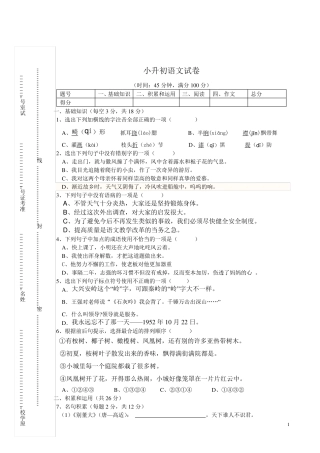 2013年小升初语文考试试卷含答案