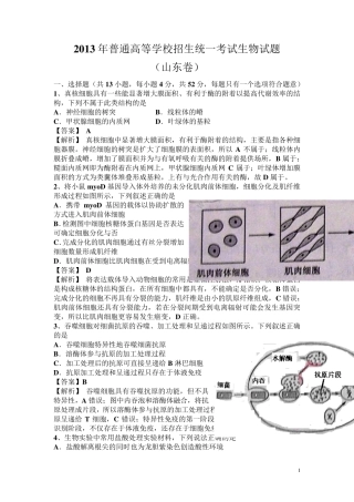 2013年山东高考理综生物部分答案及解析