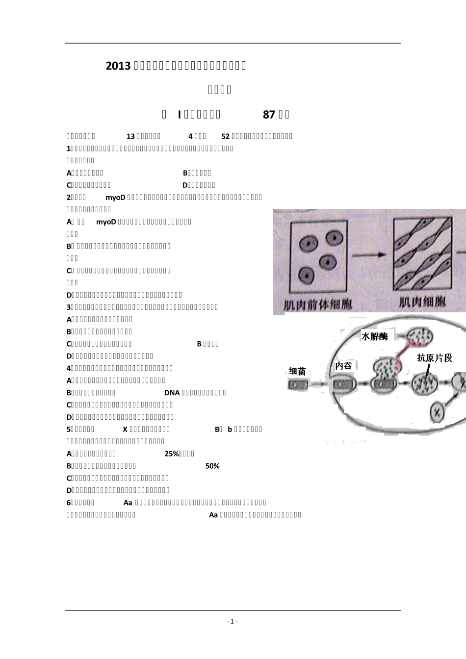 2013年山东高考理综真题试题(Word版含答案)_第1页