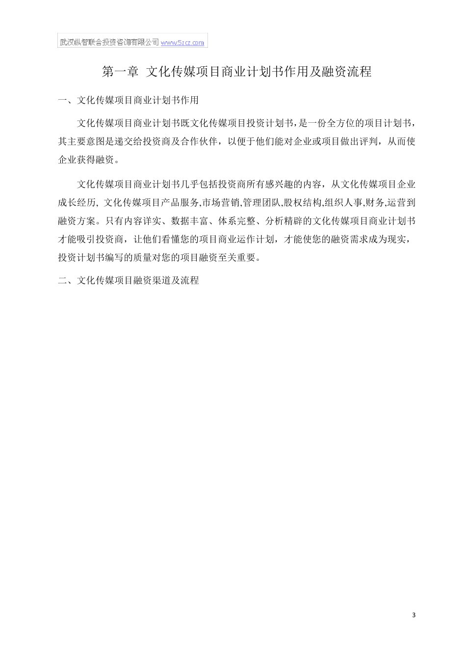 2013年文化传媒项目商业计划书_第3页