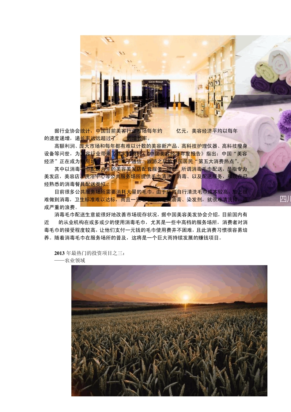 2013年最热门的投资项目_第2页