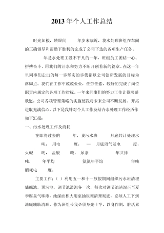 2013年水处理个人工作总结改