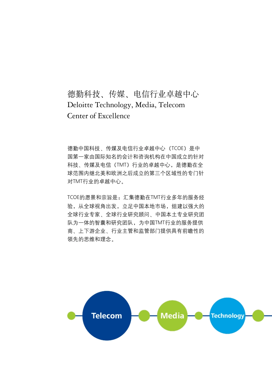2013德勤中国移动终端消费者行为调查_第3页