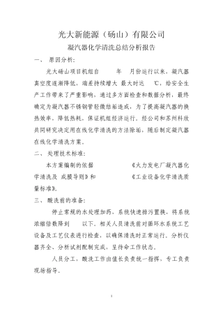 2014.3.10凝汽器在线化学清洗总结报告(最终版)