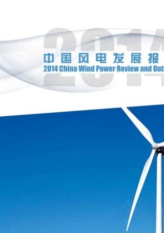 2014中国风电发展报告