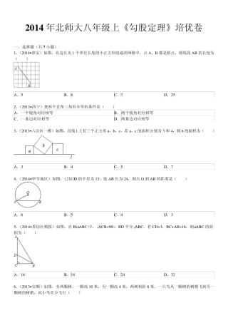 2014年北师大八年级上《勾股定理》培优卷