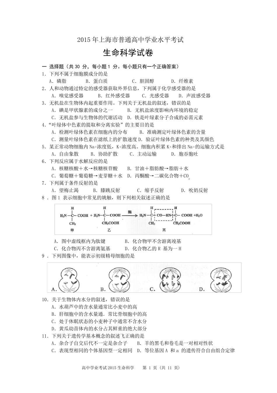 2015上海高中生物学业水平考试真题及答案_第1页