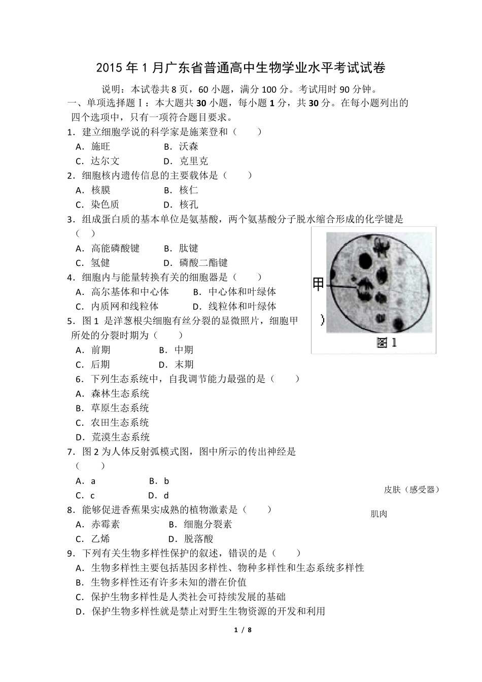 2015年1月广东省学业水平测试生物真题及参考答案_第1页
