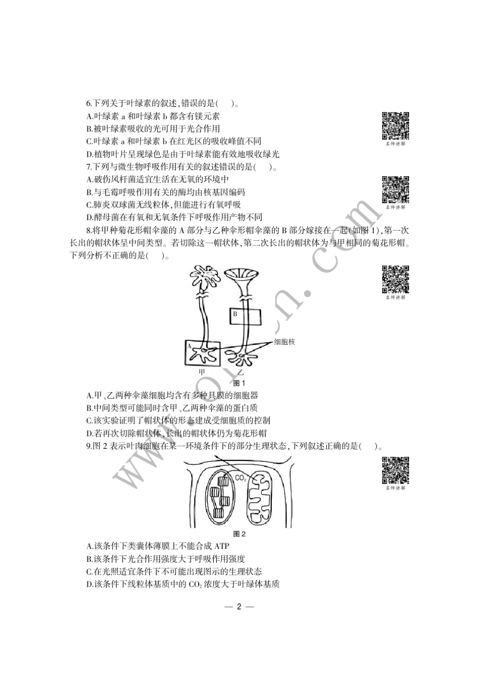 2015年中小学教师资格考试生物学科知识与教学能力试题(高级中学)_第2页