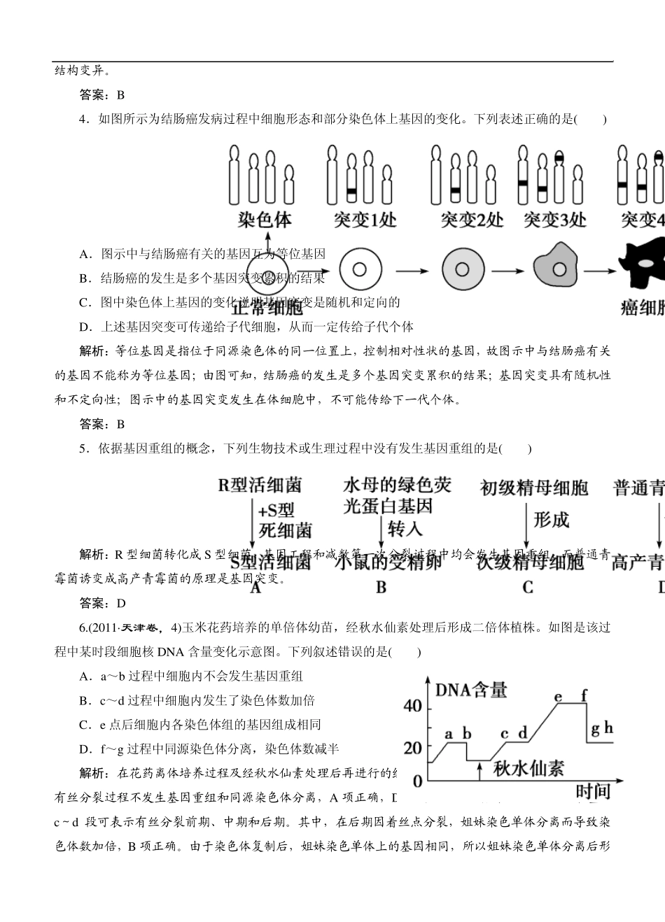 2015高考生物总复习作业：必修2第5章基因的突变及其他变异阶段质量检测_第2页