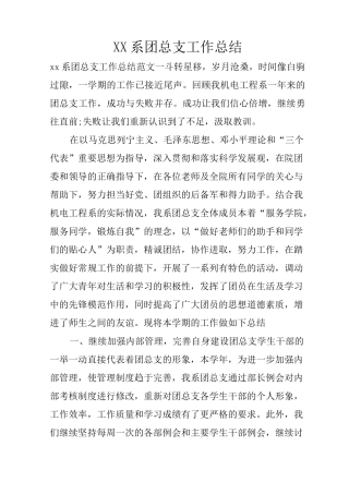 XX系团总支工作总结