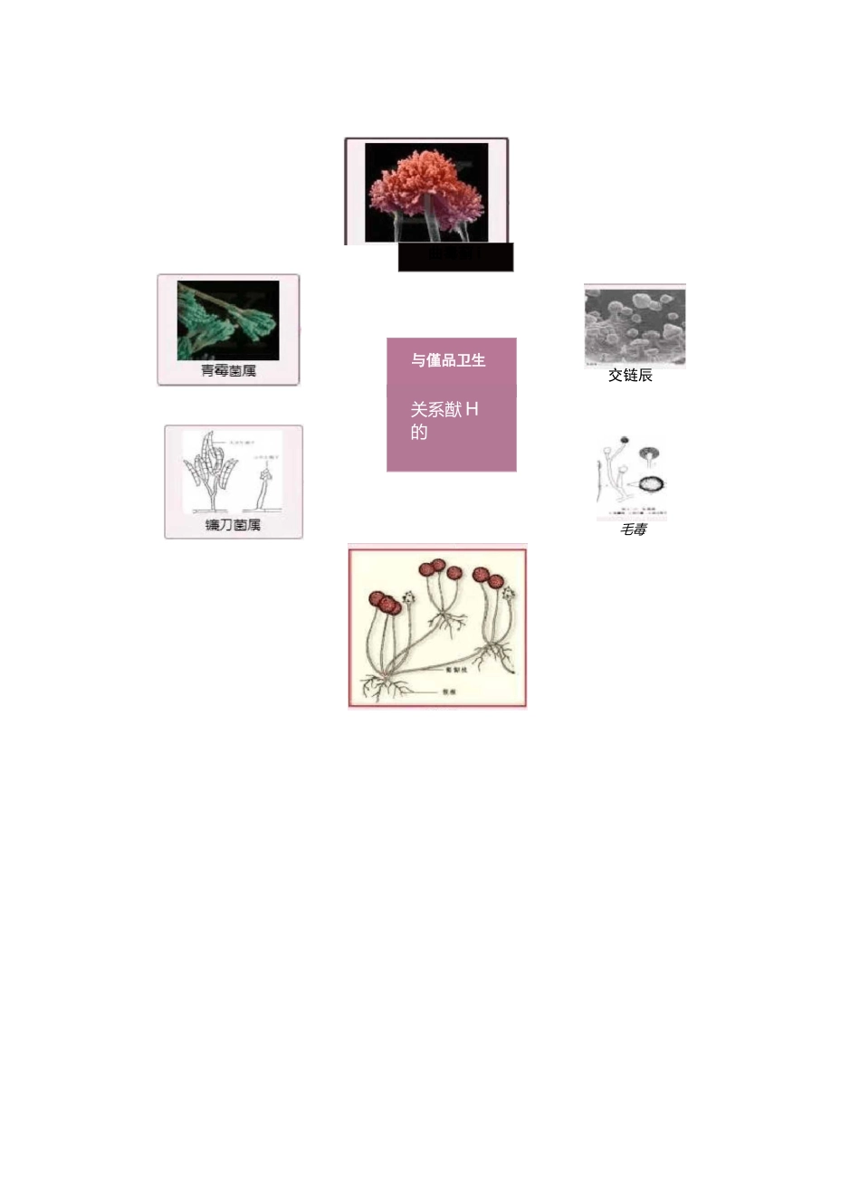 车间霉菌超标的处理方法-劵_第2页