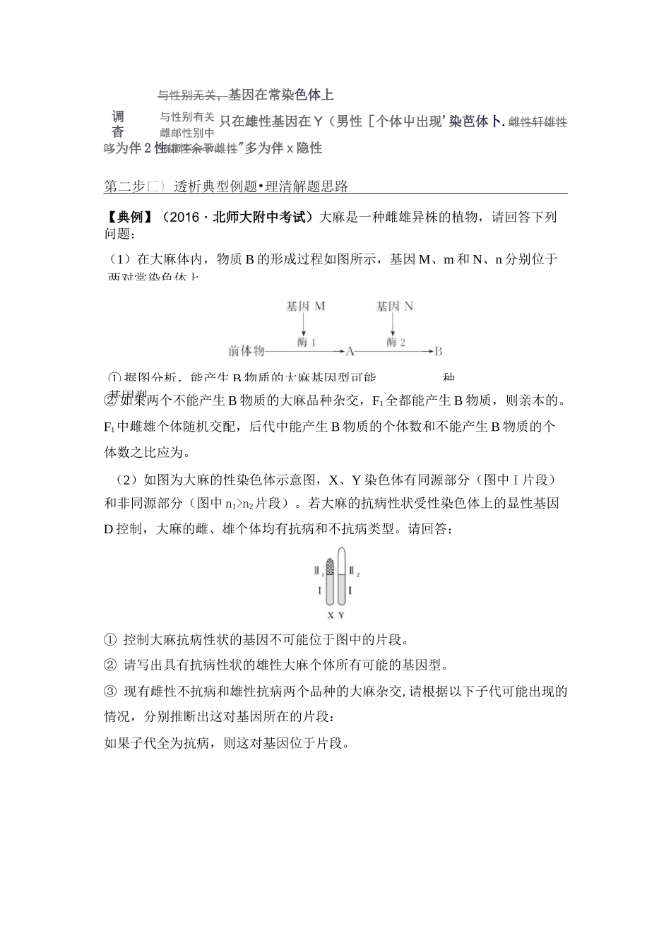 经典高中生物-基因位置的确认及遗传实验设计_第3页