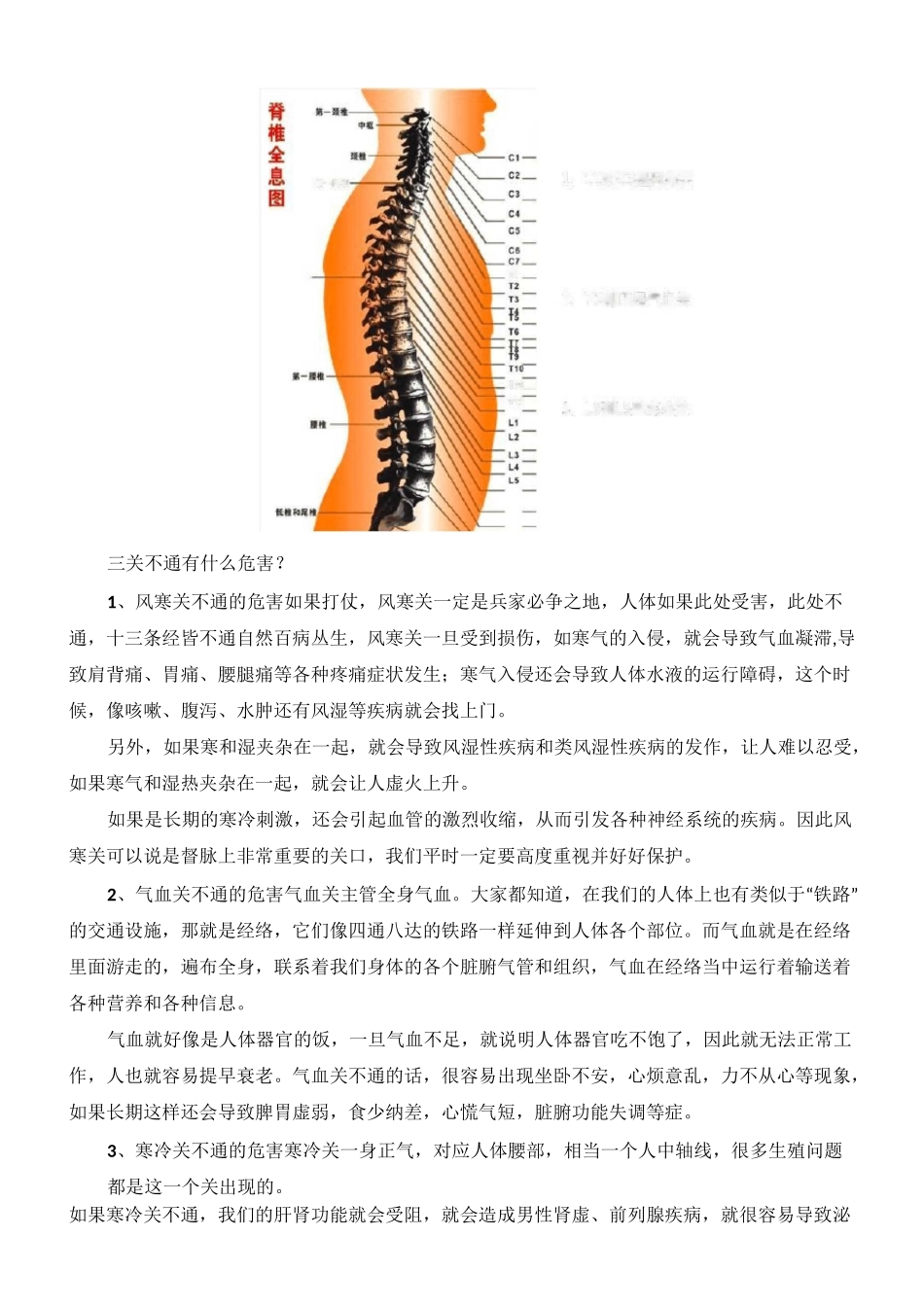 背部经络功能详解--背部七线_第2页