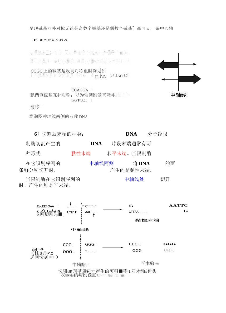 基因工程知识点超全 _第2页
