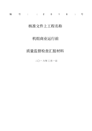 机组商业运行前汇报材料项目