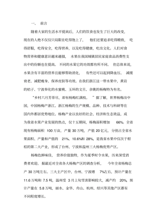 杨梅网络营销方案分析